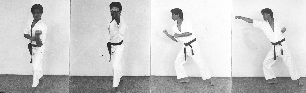 Forward Leaning Punch, Junzuki No Tsukomi