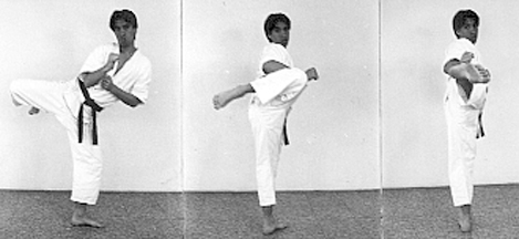 roundhouse kick