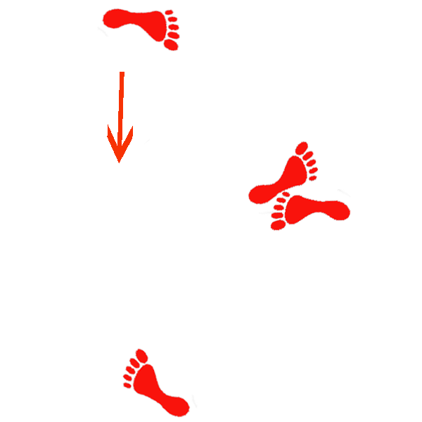 front foot lead turn